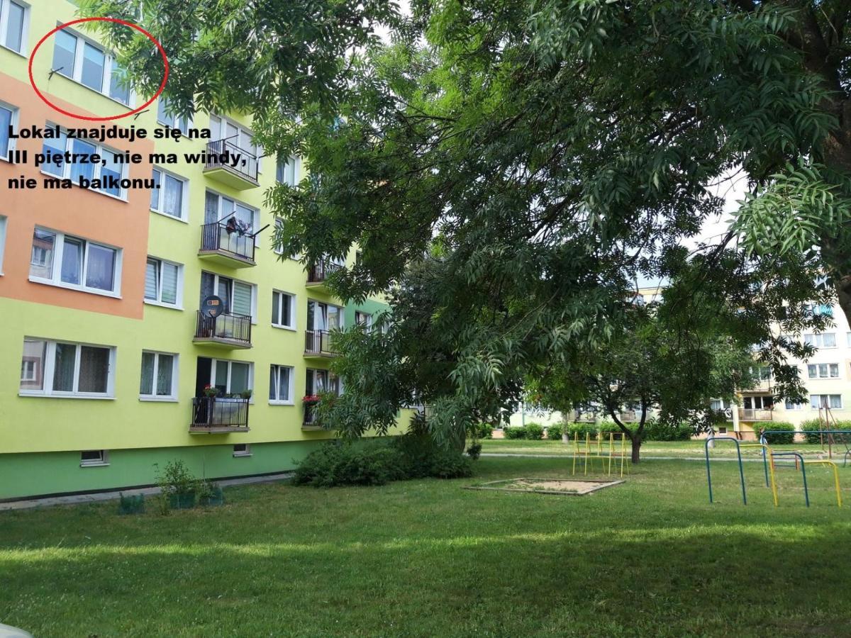 Apartament Aleksander 시에초시네크 외부 사진