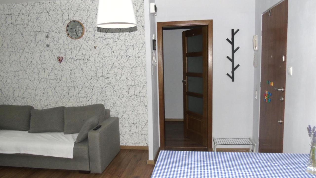 Apartament Aleksander 시에초시네크 외부 사진